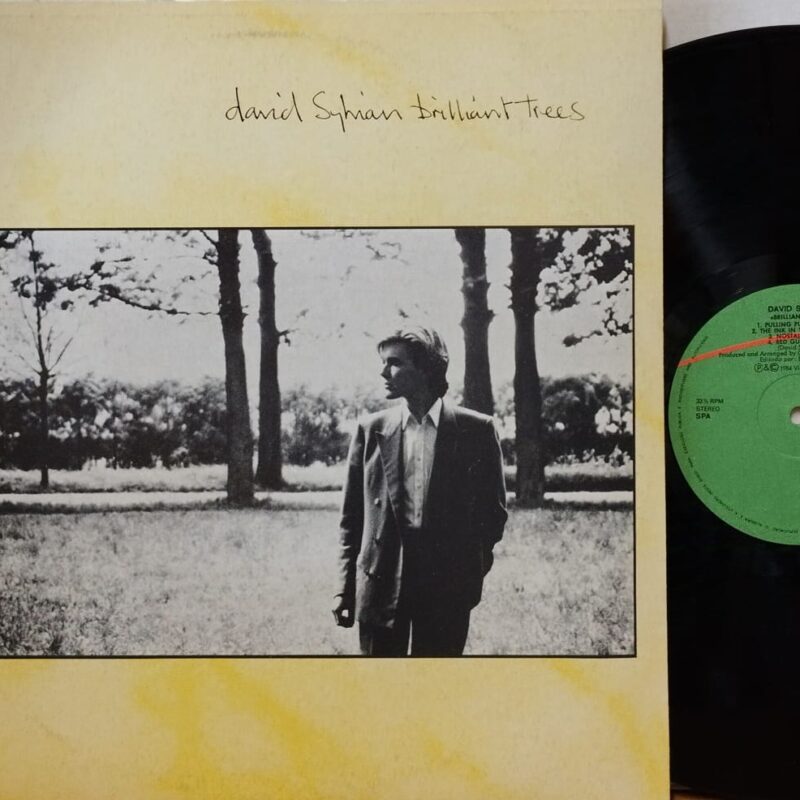 David Sylvian – Brilliant Trees uomini rock elettronica lp