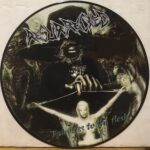 Faireless To The Flesh - Picture Disc