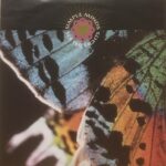 SEE THE LIGHTS - 7" EU