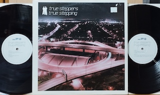 TRUE STEPPING - 2 X 12"