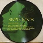 SMILING IN TONIGHT - PICTURE DISC
