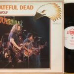 Dire Wolf - Lp Germany