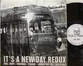 IT'S A NEW DAY REDUX - 12" USA