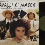 CAVALLI SI NASCE - 1°st ITALY