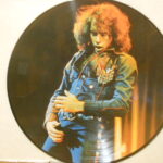 His 12 Greatest Hits - Picture Disc