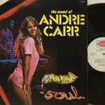 Salsa Soul - The Sound Of Andre Carr - 1°St Italy