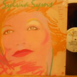 She Loves To Hear The Music - Lp Usa