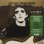 Transformer - 180 Gram