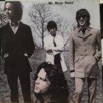 Mr.mojo Risin' - 2Lp