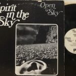 Spirit In The Sky - 1°St Usa