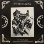 In The Flesh - The Live Biography Volume Five - 2 Lp