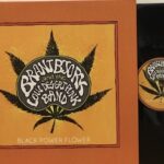 BLACK POWER FLOWER - 1°st AUSTRIA