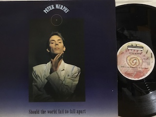 SHOULD THE WORLD FAIL TO FALL APART - 12" UK