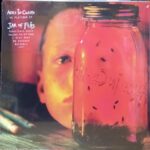 JAR OF FLIES  - 180 GRAM