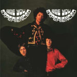 ARE YOU EXPERIENCED - 2 LP 180 GRAM