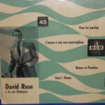 David Rose - L'Amore E' Una Cosa Meravigliosa