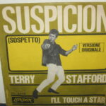 SUSPICION / I'LL TOUCH A STAR - 7" ITALY
