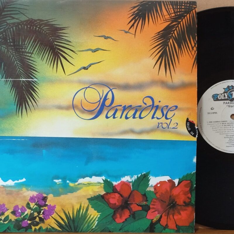 Various – Paradise Vol.2 - ANNI '80 LP