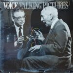 Voice – Talking Pictures - Rock New Wave Lp