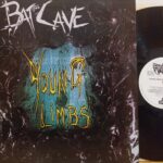 Aavv Batcave: Young Limbs And Numb Hymns New Wave Rock Lp