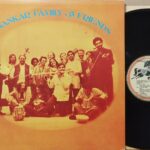 Shankar Family &Amp; Friends – Shankar Family ૐ Friends - Musica Etnica Lp