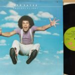 Leo Sayer – Endless Flight - Uomini Rock Anni 70 Lp