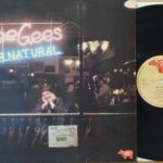 Bee Gees – Mr. Natural Band Rock Anni 70 Lp