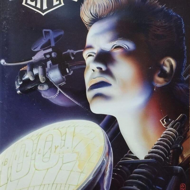 Billy Idol : Charmed Life : the tour, 1990-1991 book