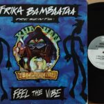 Afrika Bambaataa Presents: Khayan &Amp; The New World Power – Feel The Vibe Disco Mix