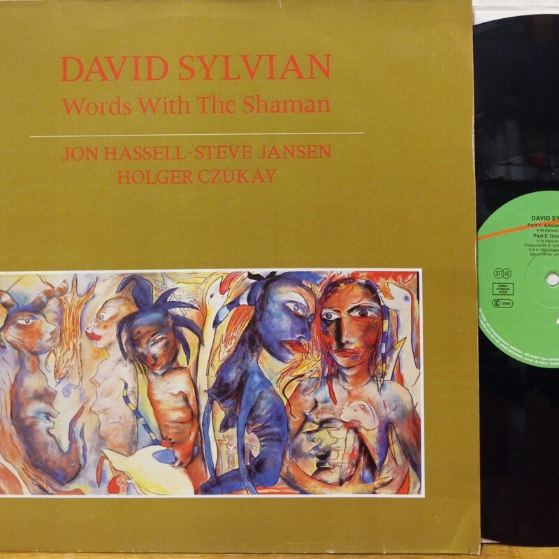 DAVID SYLVIAN WORDS WITH THE SHAMAN - 12" EUROPE BAND ROCK ELETTRONICA LP