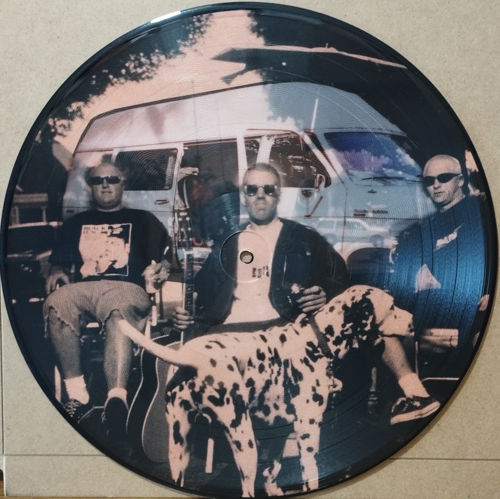 Sublime – Stand By Your Van - punk ska lp