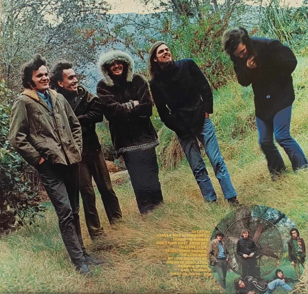 The Collectors – Grass And Wild Strawberries band rock psichedelico lp